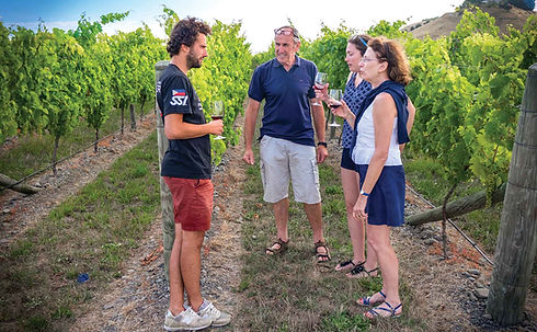 a-local-wine-maker-standing-in-a-napier-vineyard-in-the-hawkes-bay-region-of-new-zealand-explaining-how-the-wine-is-produced-&-made-while-a-small-luxury-group-off-a-cruise-ship-shore-excursion-listen-and-taste-the-wine