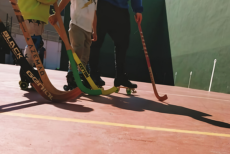 Rollart sanse Hockey 