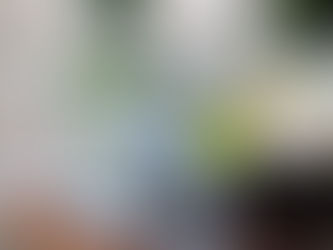 平塚産の無農薬野菜でカラダの中からキレイに♪