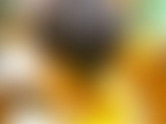 ツイストスタイル🌊