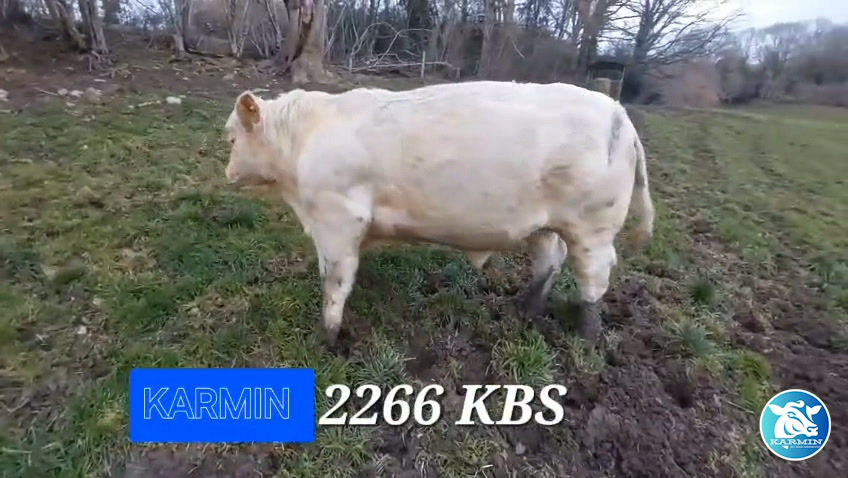 Miniature : ACCORD P   -   17/12/2025