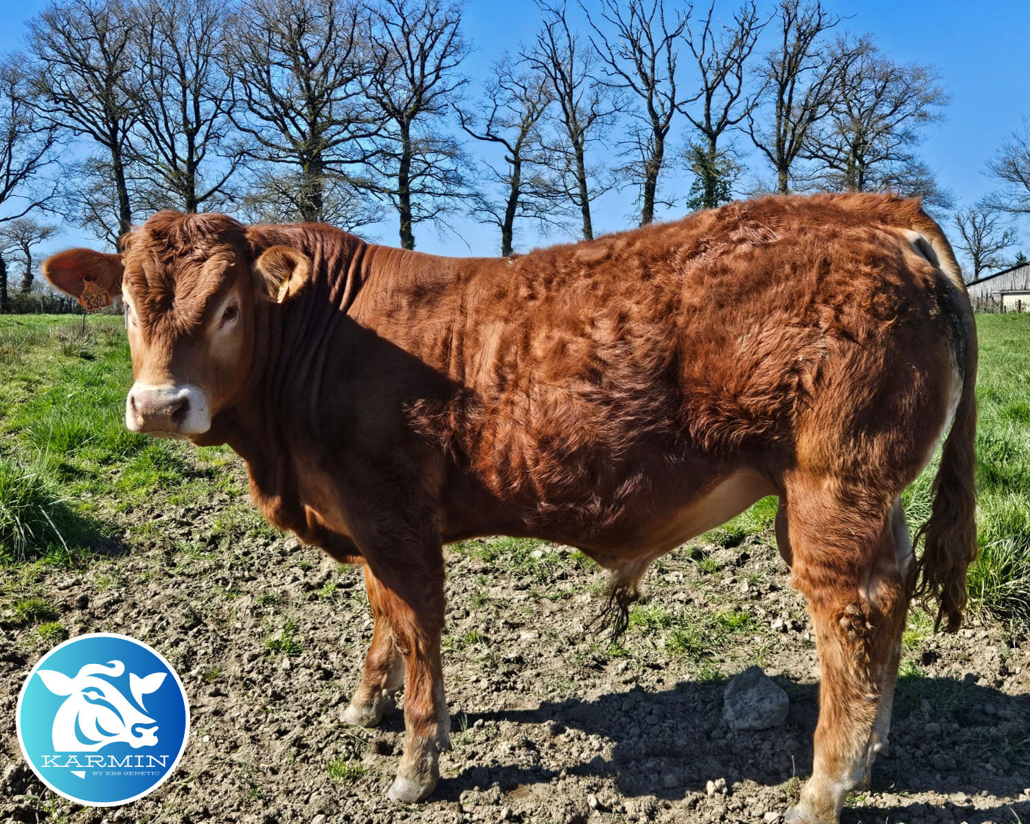 ADEQUAT   -   15/03/2025