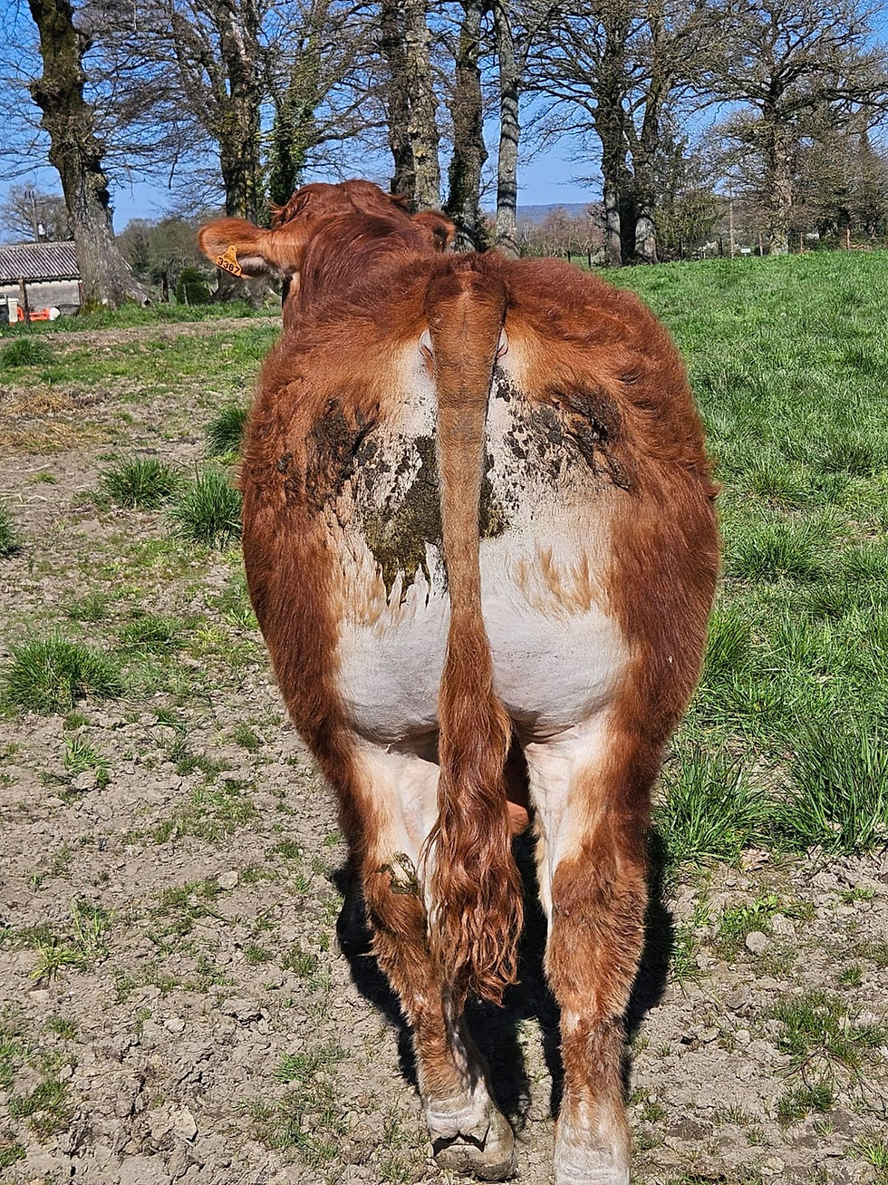 Miniature : ADEQUAT   -   15/03/2025