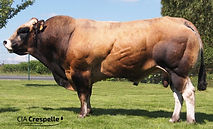 JACQUOT Photo 1_edited.jpg