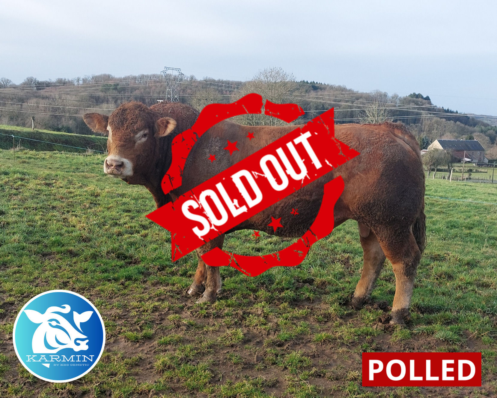 SAFRAN PP RR VS   -   09/04/2021