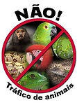 Criadores criatórios criadouros comerciais autorizados legalizados IBAMA aves pássaros filhotes mansos casais reprodutores psitacídeos canoros tucanos ornamentais aquáticos rapina domésticos exóticos silvestres Rio Branco AC Maceió AL Macapá AP Manaus AM Salvador BA Fortaleza CE Brasília DF Vitória ES Goiânia GO São Luis MA Cuiabá MT Campo Grande MS Belo Horizonte MG Belém PA João Pessoa PB Curitiba PR Recife PE Teresina PI Boa Vista RR Porto Velho RO Rio de Janeiro RJ Natal RN Porto Alegre RS Florianópolis SC São Paulo SP Aracaju SE Palmas TO