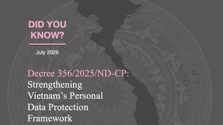Decree 356 - Strengthening Vietnam's Personal Data Protection Framework