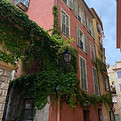IMG_8899.jpg