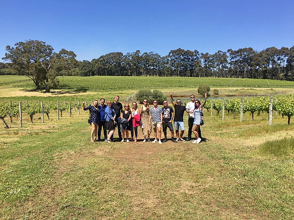 best-wine-tour-margaret-river-wine-for-dudes-hay-shed-hill-winery-estate-experience-dunsbo