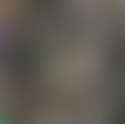 Wallcliffe Road roadworks shire of margaret river 9 march 2026 wine for dudes wine tours