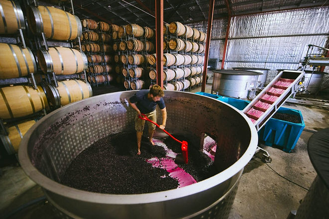 margaret-river-harvest-v23-wine-for-dudes-wine-tours-margaret-river-dunsborough.jpg