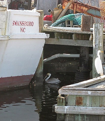 Swansboro waiting for lunch (2).jpg