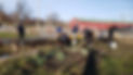 20210109_152158.jpg
