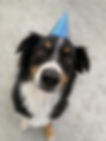 IMG_1385.jpeg