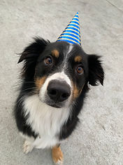 IMG_1385.jpeg