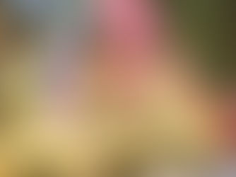 Upcoming Events at Our Singapore Buddhist Monastery