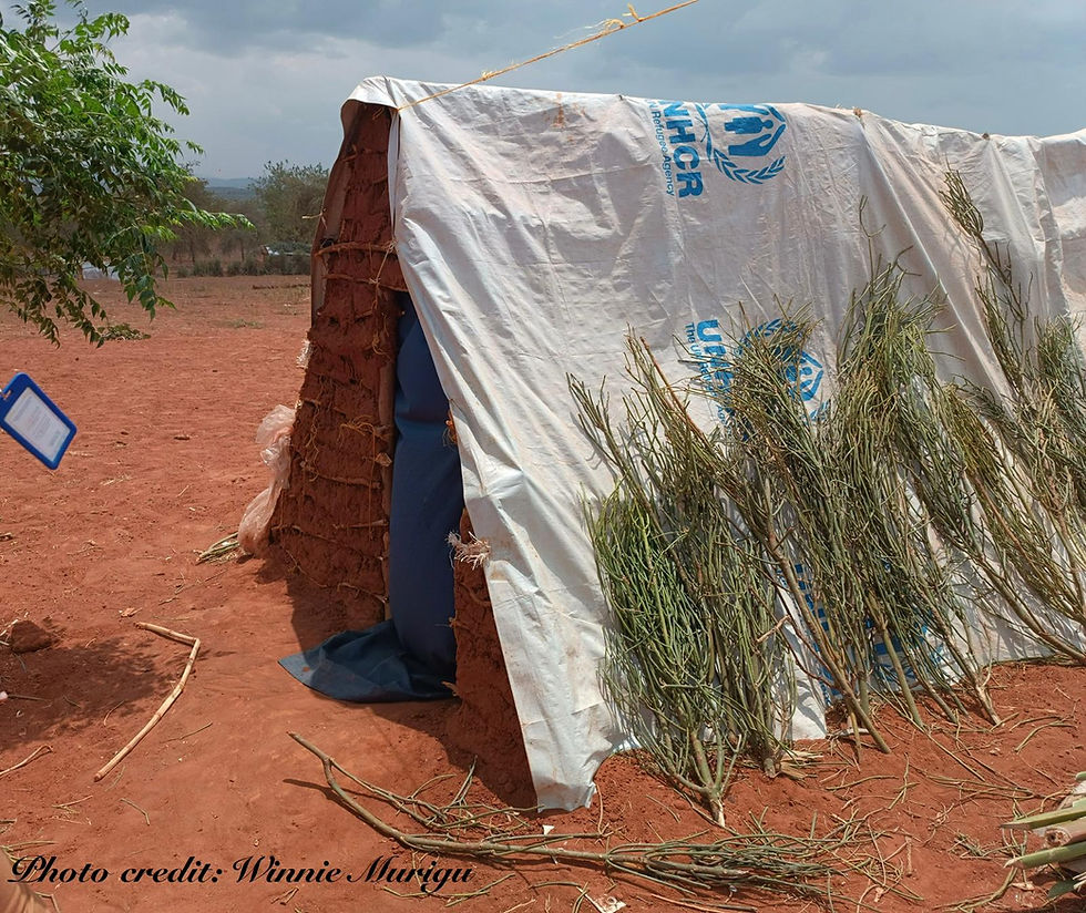 Structural Violence and Human Rights Gaps in Uganda's Refugee Settlements