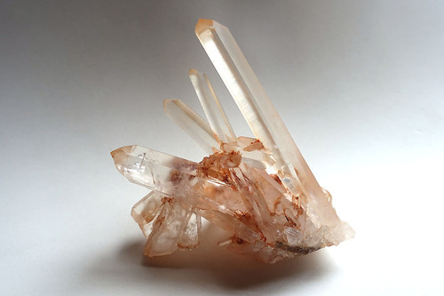 橘　 水晶 Chrystal Orange - Products - Dümmen Orange