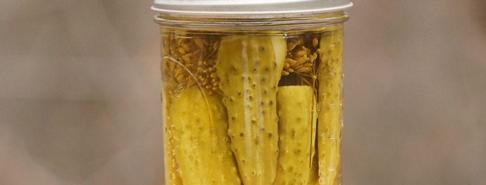 dill spears_edited.jpg