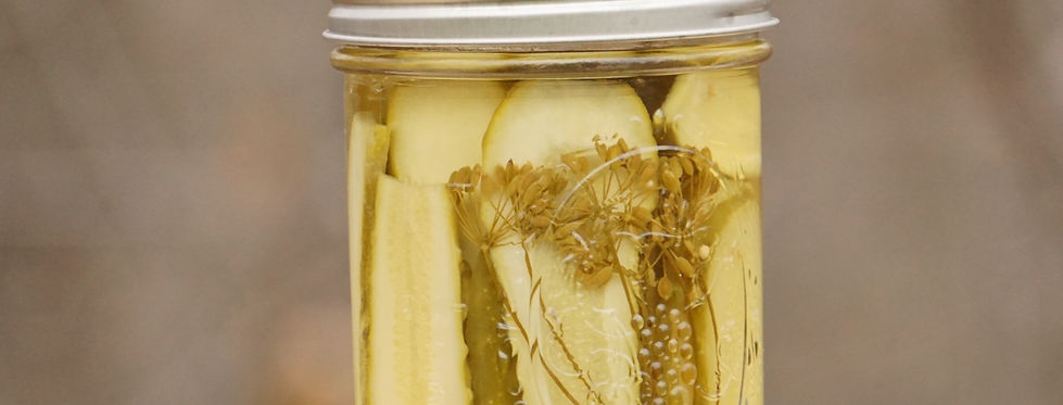 hamburger dills_edited.jpg