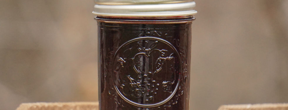 Copy of elderberry_edited.jpg