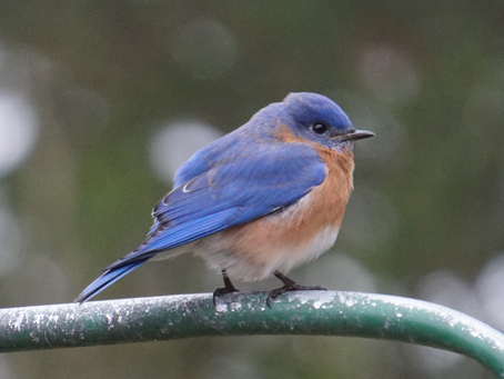 It’s okay to do less