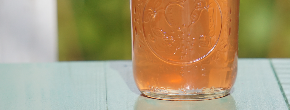 backyard-apple-jelly-header-2025.png