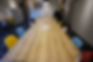 DSC02850.jpg