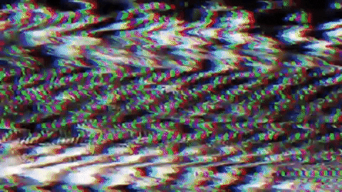 giphy.gif
