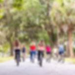 Bicycle Tours
