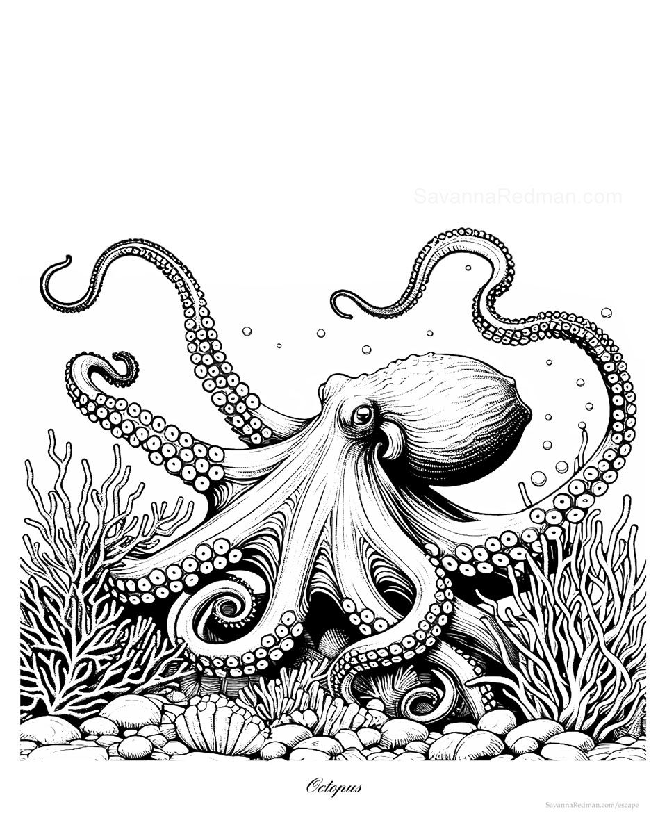Octopus Coloring Page