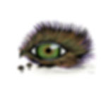 Surreal art. All-Seeing Eye Bird. Royal Oculus Avis Hen with Colts