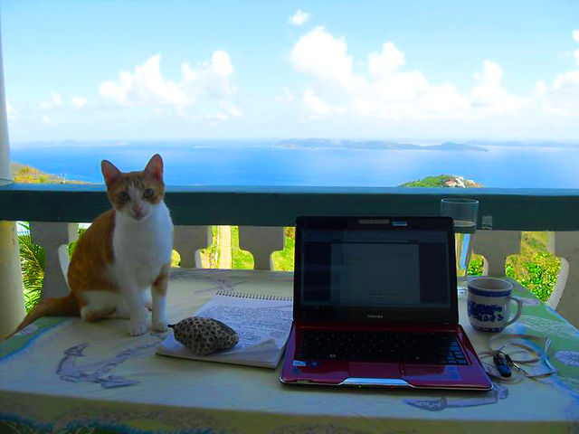 JuJu my brilliant editor and office manager, Tortola, BVI.