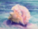 Queen Conch Shell watercolor by Savanna Redman - Available as a Fine Art Archival Giclee