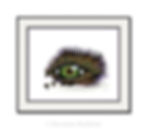 Thumbnail: Example of print framed.