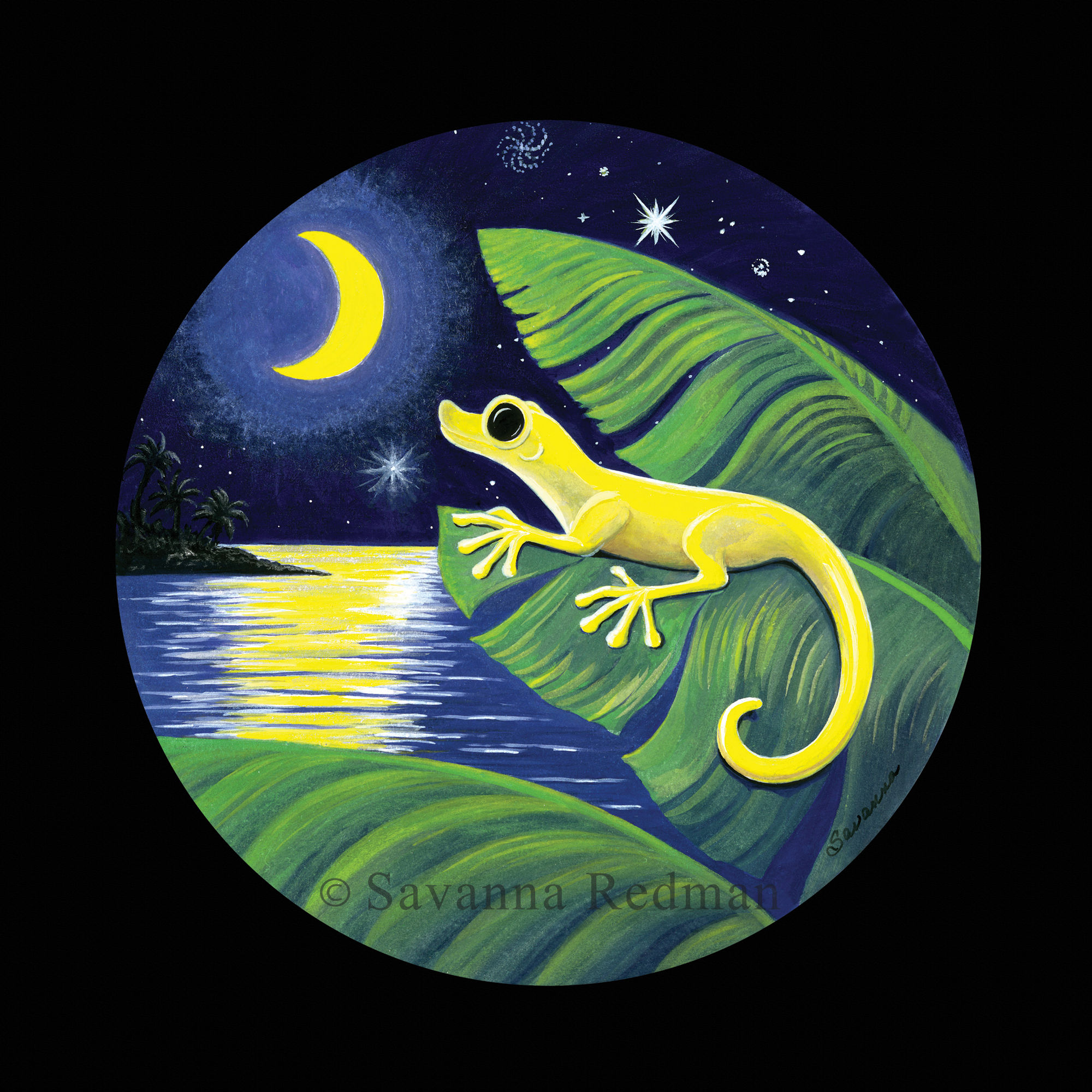 Caribbean Gecko & the Moon - Watercolor - Fine Art Print