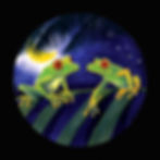 'Caribbean Red-Eyed Tree Frogs Singing in the Moonlight' - Watercolor - Fine Art Print