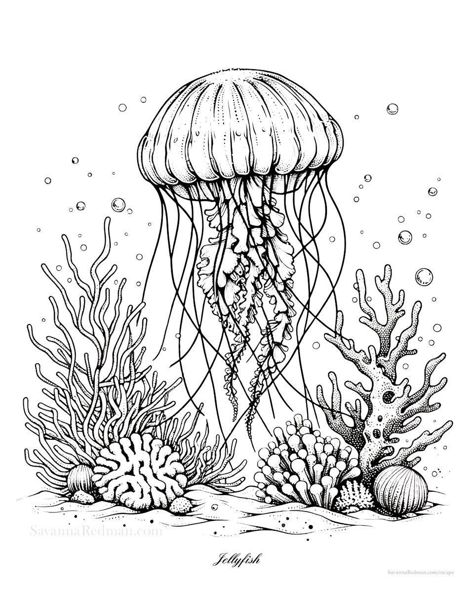 Jellyfish coloring page designed for mindful coloring