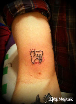 13 Tooth