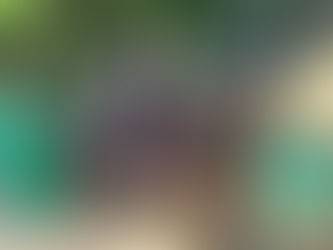 玉ねぎの苗 植え