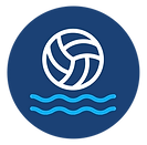 flipperball icon.png