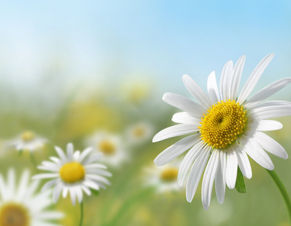 What Exactly is the Vernal Equinox? Spring Begins March 19th!