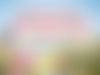 Important Information From Your Leasing Office 