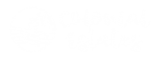CES-Logo-White-horizontal.png