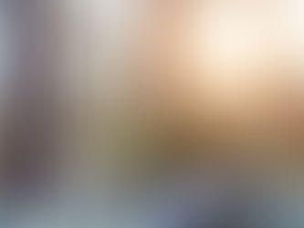 Fresh Christmas Tree Entry, Care & Disposal