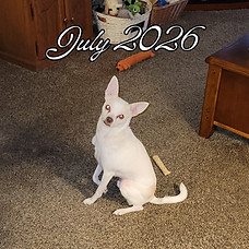 2-103 Birdie (JUL 2026).jpg