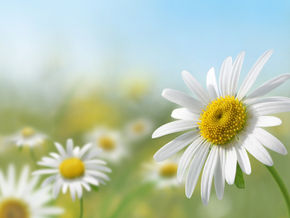 What Exactly is the Vernal Equinox? Spring Begins March 19th!