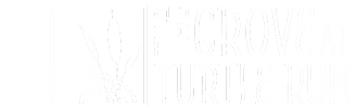 GTR-Logo-WHT-Horizontal.png