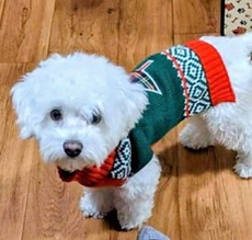 PET of the MONTH #16-203.jpeg