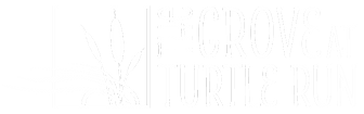 GTR-Logo-WHT-Horizontal.png